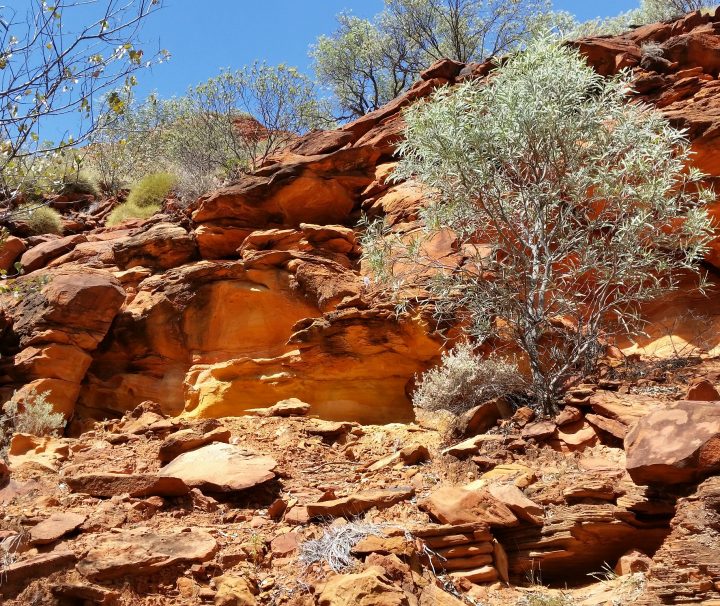 kings canyon, red centre, central australia, australian tours, tours of australia for seniors, canyon walk kings canyon