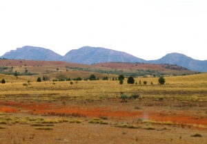 flinders ranges, art tours flinders ranges, herman pekel, art tours with herman pekel, australian art tours, art tours australia, wilpena pound