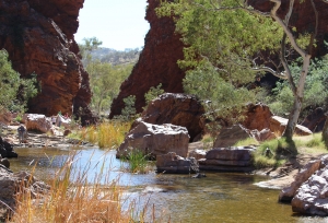 Simpsons Gap, art tours, art tours australia, art tours alice springs, leonie norton, leonie norton art tours, aussie redback tours,