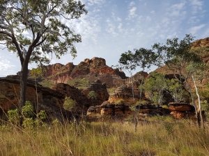 kimberley, kimberley tours, tours of the kimberley, tours for seniors to the kimberley, seniors tours of the kimberley, kimberley western australia