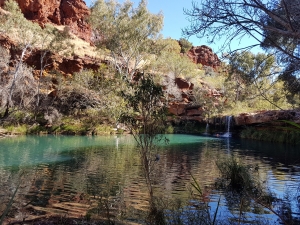tours to karijini, tours to mt augustus, wildflower tours to mt augustus